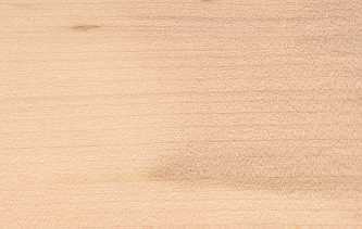 Ahorn Holz 